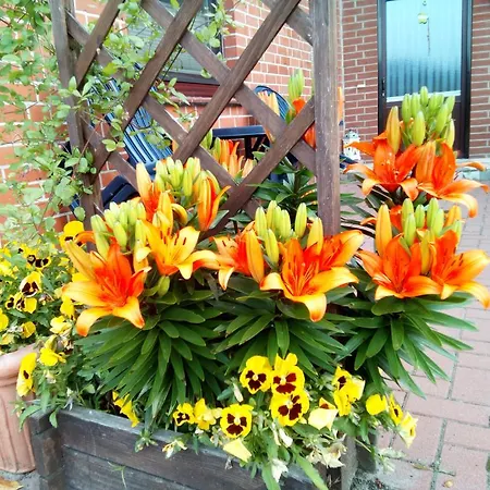 Apartamento In Isenbüttel